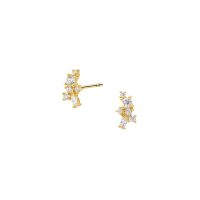 Pendientes Cristales