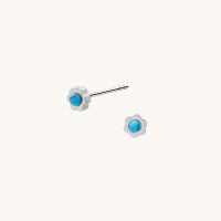 Pendientes Plateados Turquesa