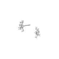 Pendientes Cristales Plata
